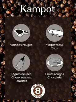 Peugeot Saveurs Multipack poivres premium Pack 3 poivres d'origine et 1 mélange exclusif -><noscript><img width=