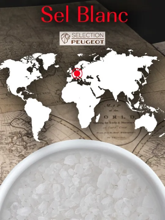 Peugeot Saveurs Sel blanc Pack de 2 étuis de gros sel de cuisine -> Idées Cadeaux -50€|Envie De Saveurs